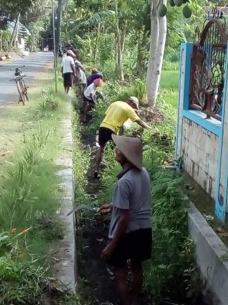 Pelaksanaan kegiatan angkat walet